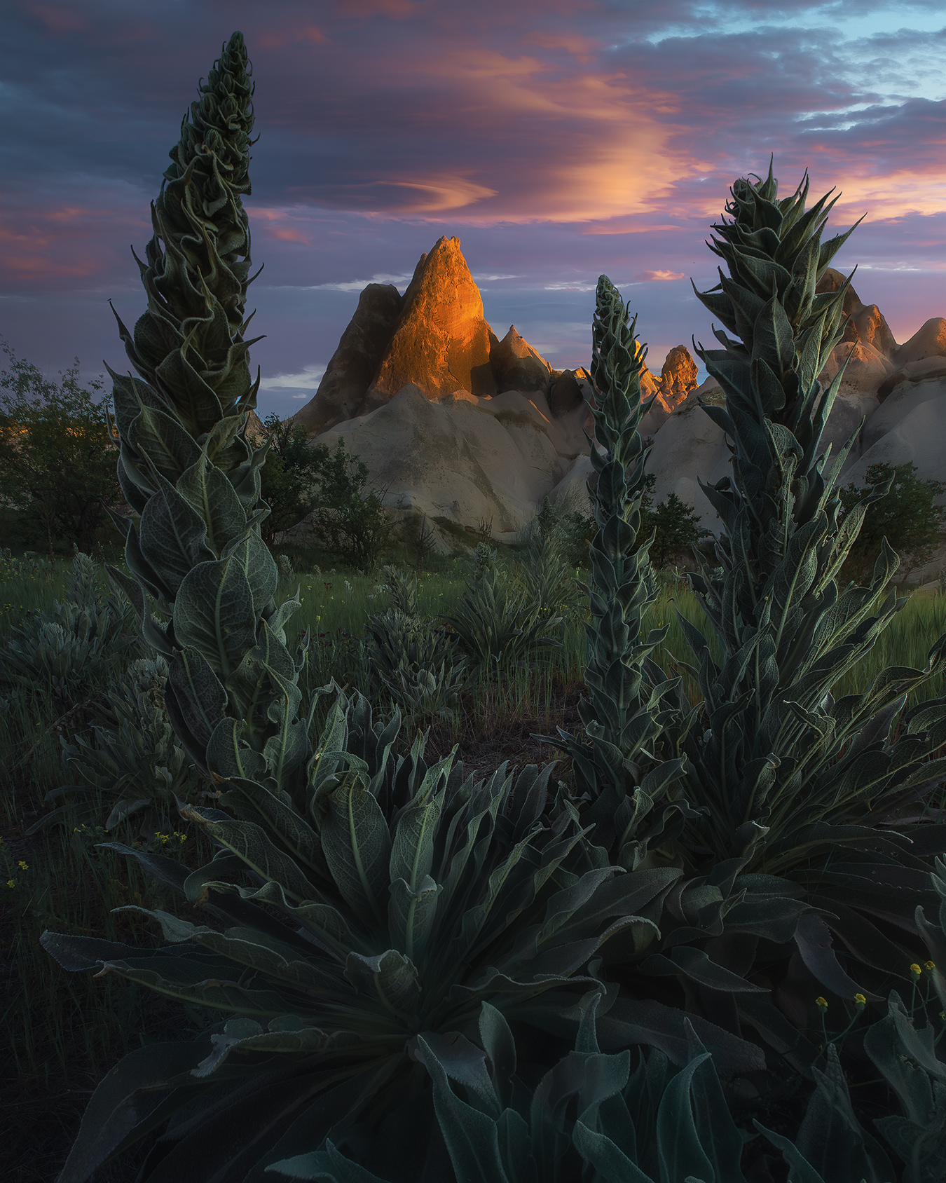 CappadociaFocusStacked5 Cappadocia Photo Tour