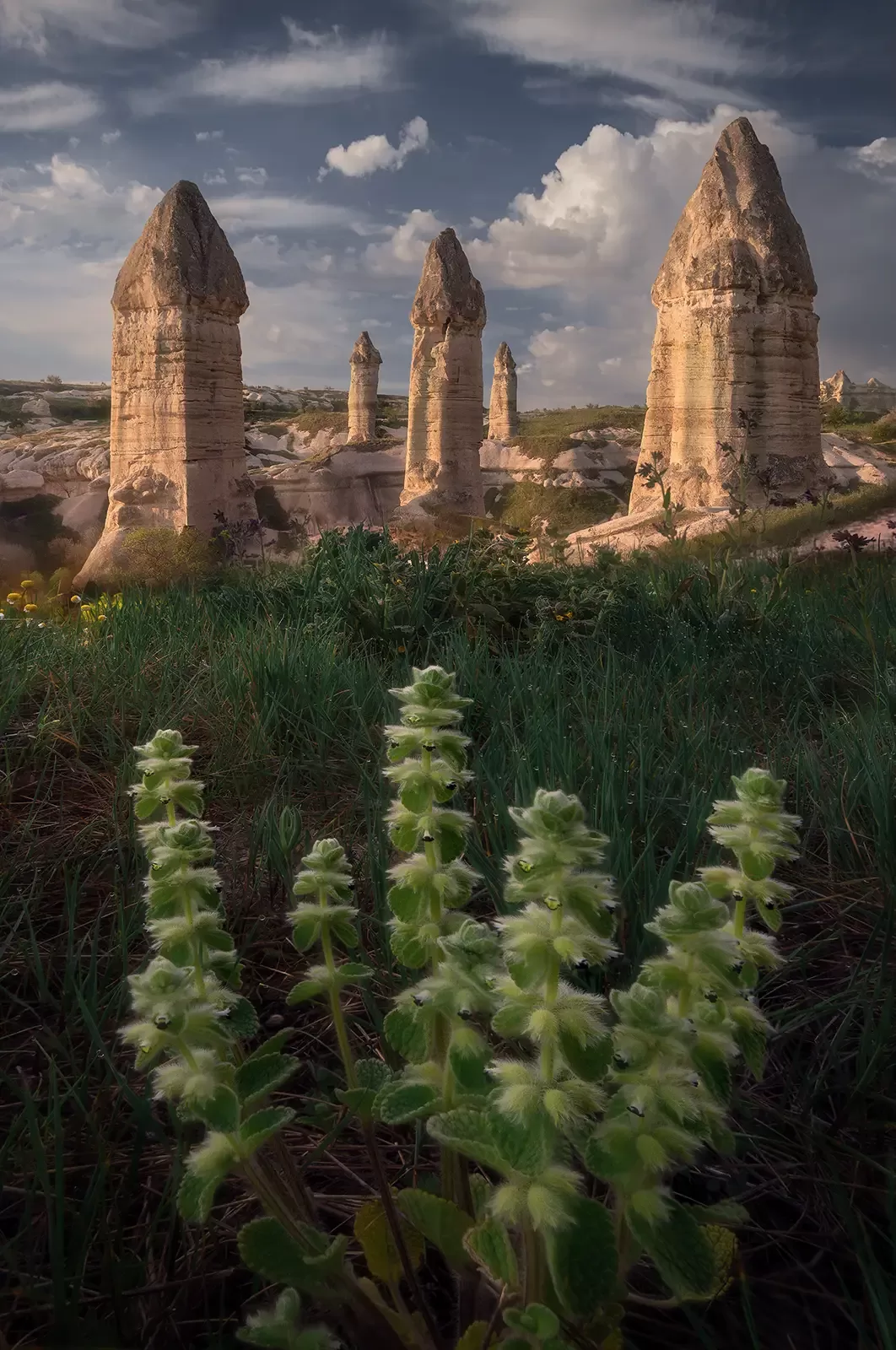 CappadociaSpringTime