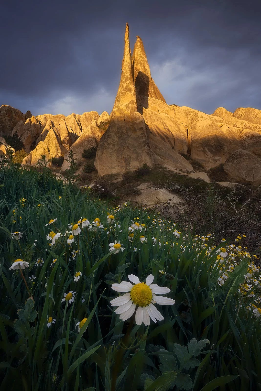 Cappadocia Photo Tour - Ballon among the rock formations